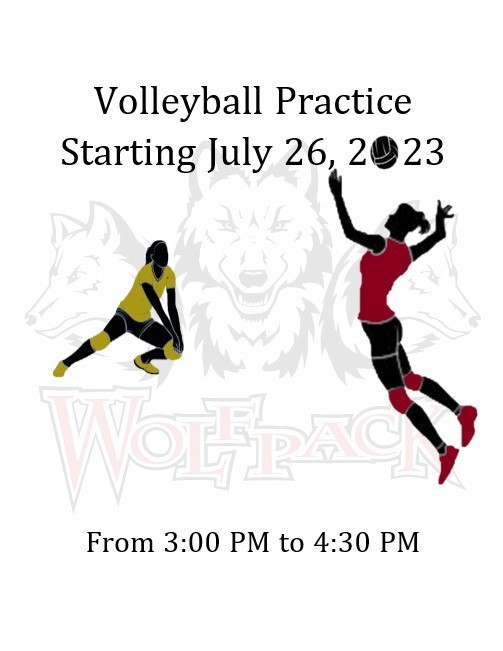 Volleyball Flyer